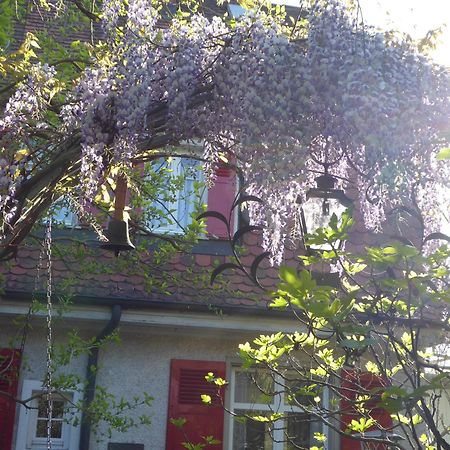 Pension Zur Rose Weil am Rhein Dış mekan fotoğraf